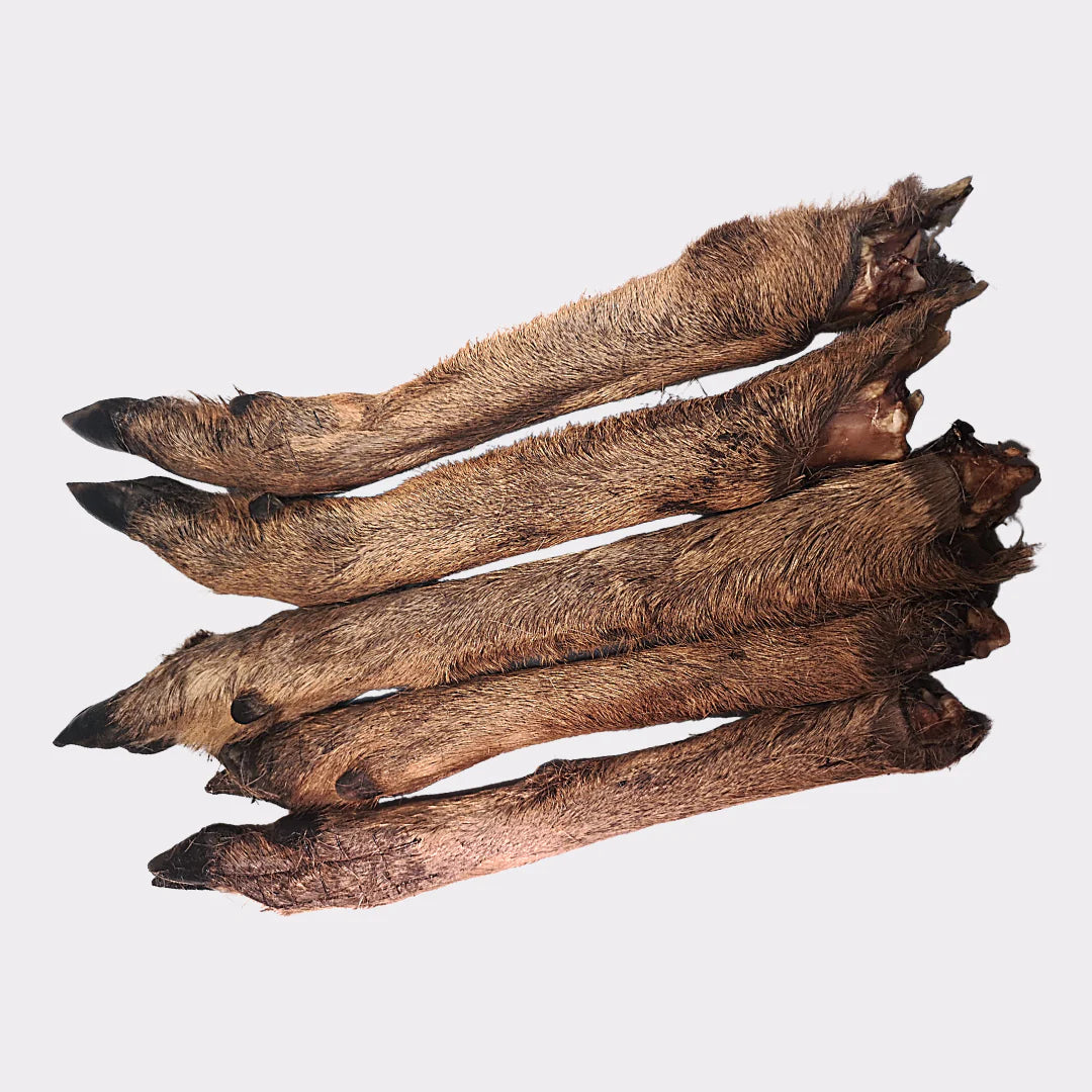 Venison (Deer) Leg