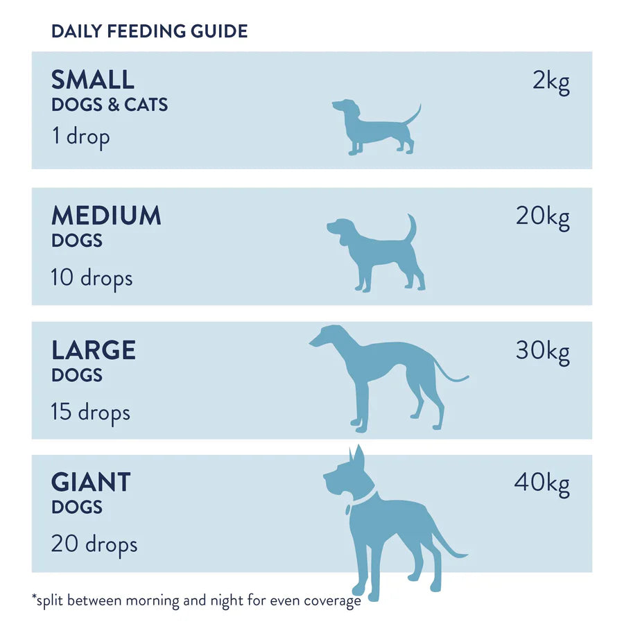 Dorwest Evening Primrose Oil Liquid For Dogs And Cats