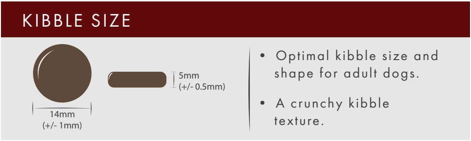 Kibble size image with measurements and description of optimal kibble size for adult dogs.