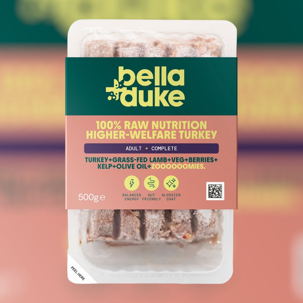 Hilltop Pet Food Bella and Duke Complete Raw Adult Dog Food, Higher Welfare Turkey, 500g tray.