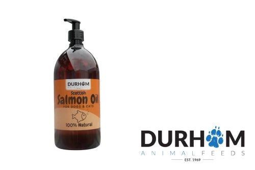Durham (DAF): Scottish Salmon Oil (1 litre)