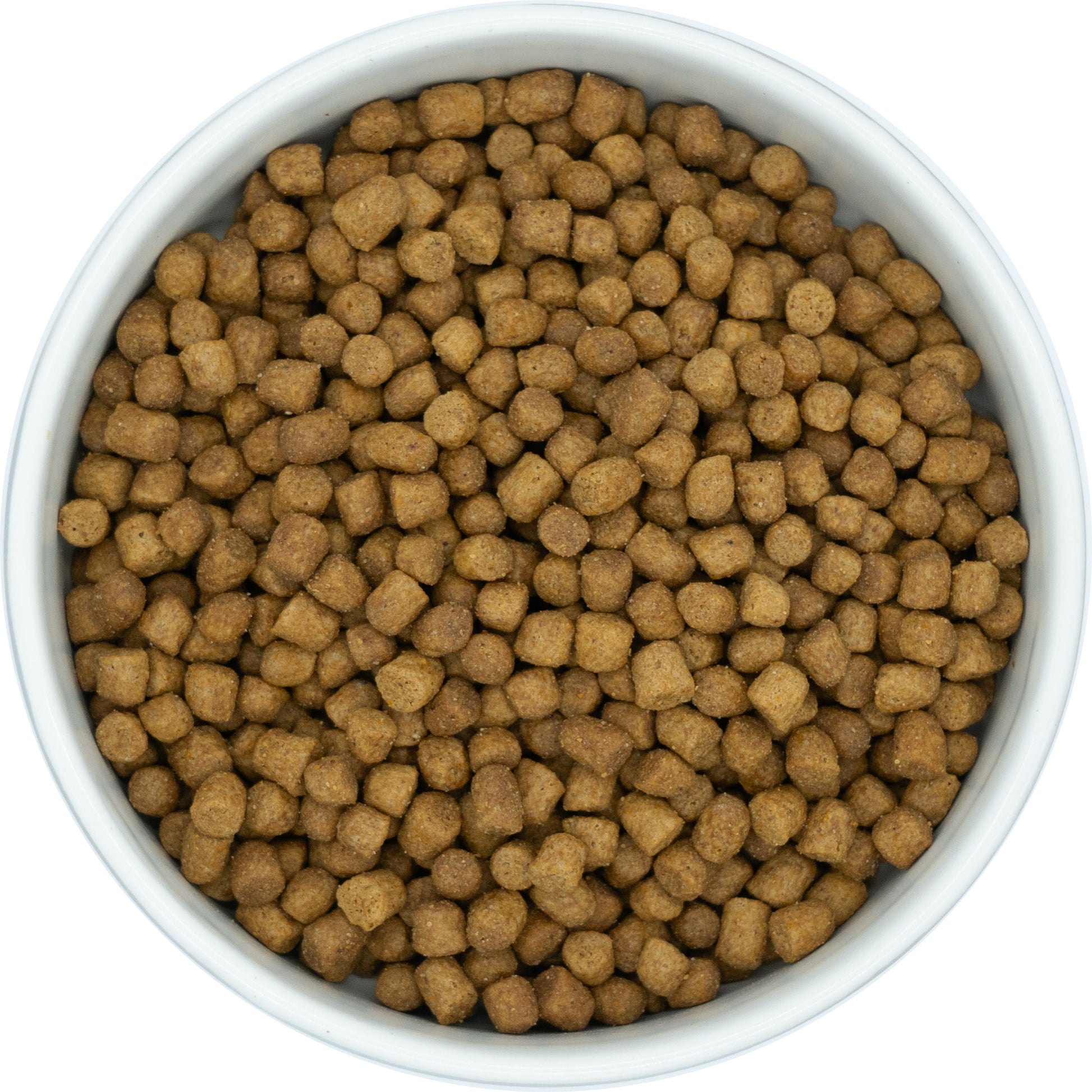 A white bowl filled with Hilltop Pet Foods Super Premium Adult Cat Food - Duck with Rice kibbles, viewed from above.