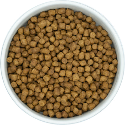 A white bowl filled with Hilltop Pet Foods Super Premium Adult Cat Food - Duck with Rice kibbles, viewed from above.