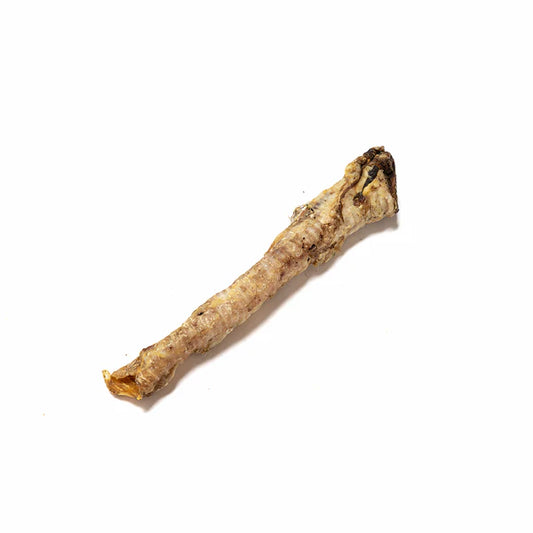 Lamb Trachea
