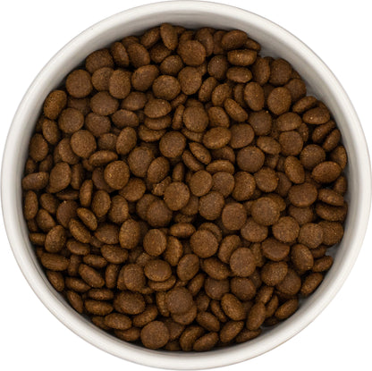 Bowl of Connoisseur Cat Food