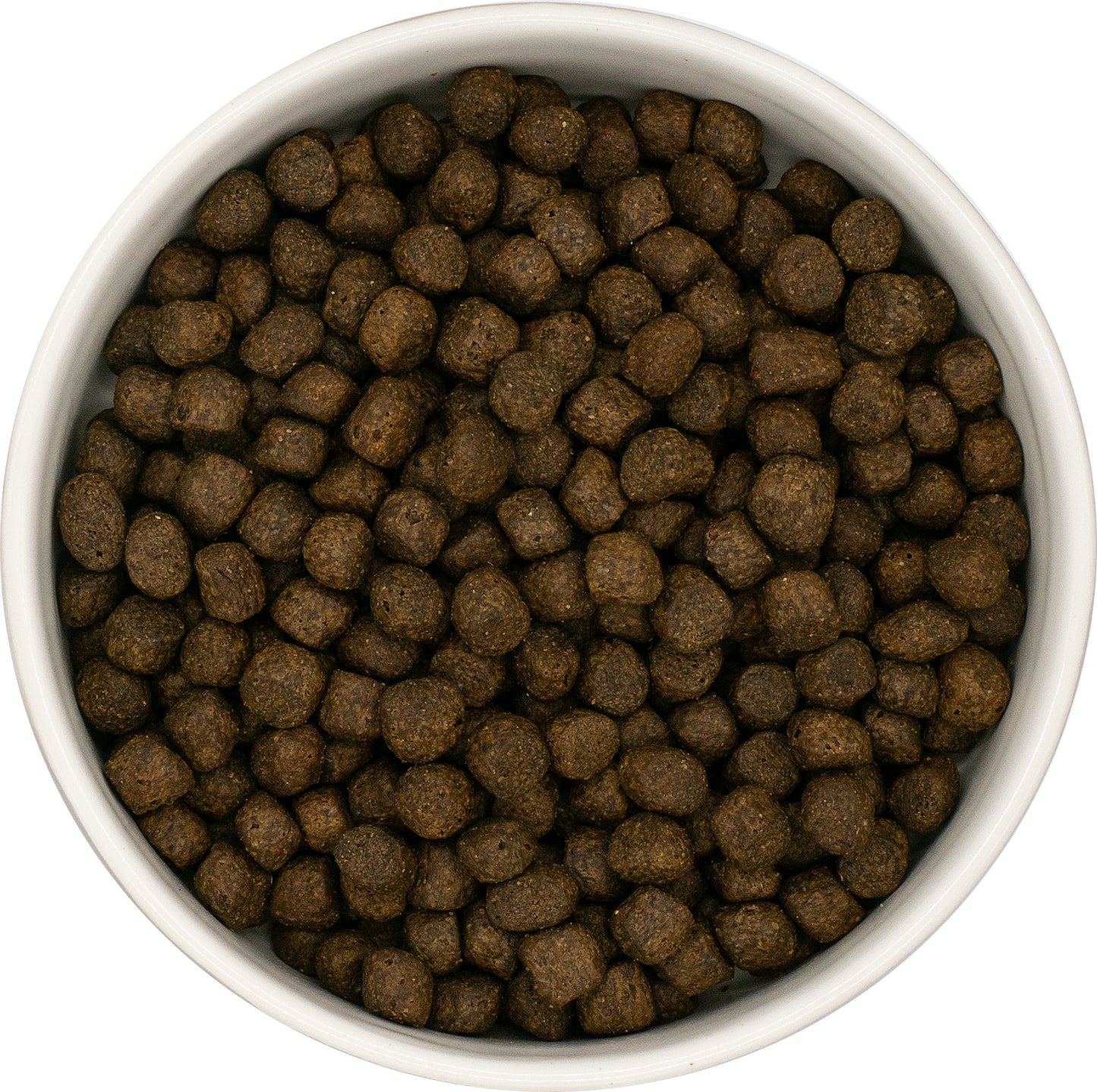 White bowl filled with Grain Free Salmon, Haddock, White Fish Puppy food on a white background