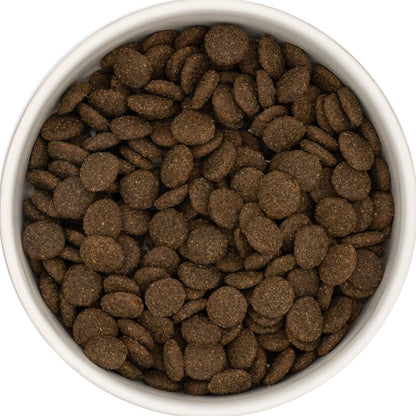 Closeup of a bowl of Grain Free Lamb Sweet Potato and Mint dog food