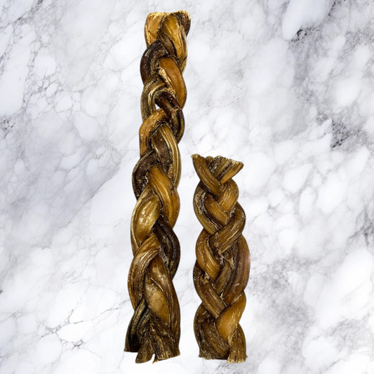 Two Hilltop Pet Food Braided Pizzle Bully Sticks stand upright on white marble, ideal natural dog treats.