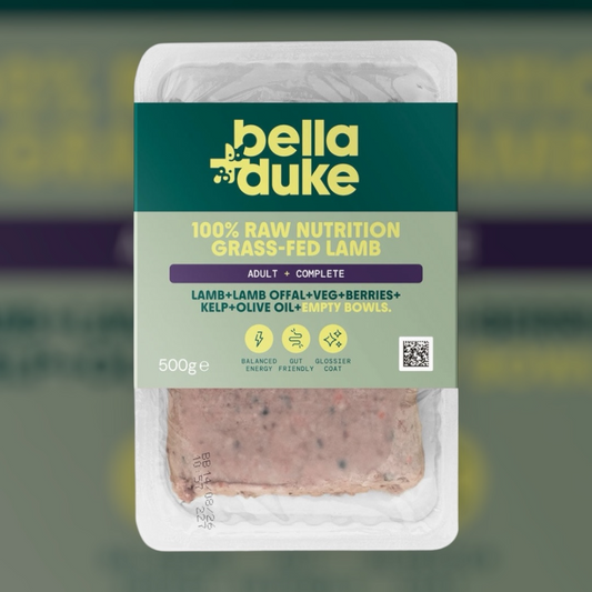 Hilltop Pet Food Bella and Duke Raw Adult Dog Food, Grass Fed Lamb, 500g pack, with badges and flexible display.