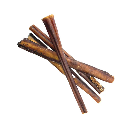 Pizzle "Bully Stick"