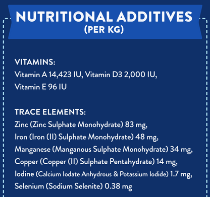 Hilltop Superfood 65 Adult Dog Food SMALL BITE - Angus Beef with Carrot, Green Beans, Cauliflower, Tomato & Courgette