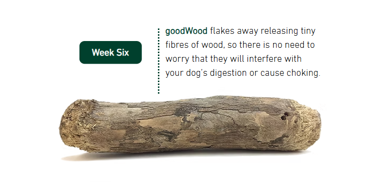 goodWood Coffee Wood Chewable Stick for Dogs