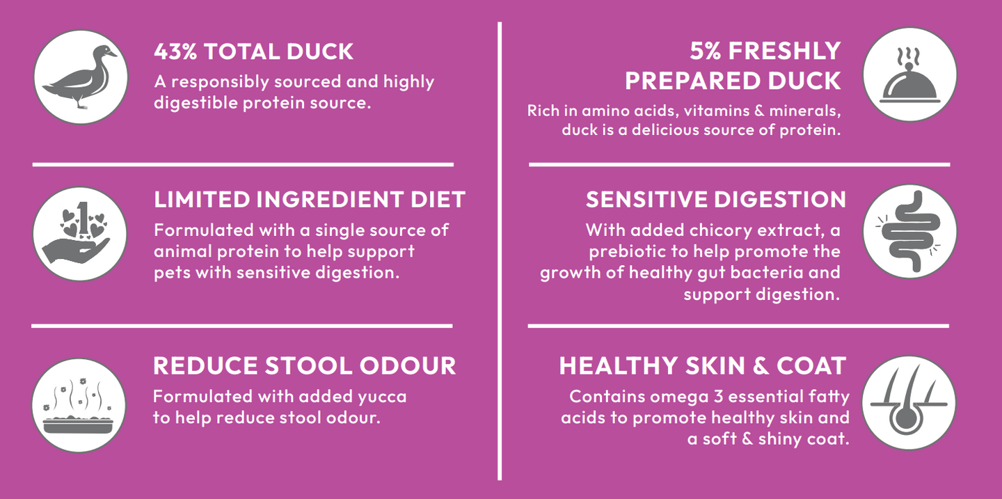 Infographic highlights Hilltop Pet Foods Super Premium Adult Cat Food—Duck with Rice—supports digestion, skin, and stool.