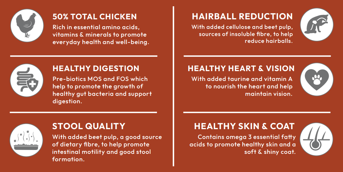 Infographic: 6 benefits of Hilltop Super Premium Adult Cat Food (Chicken with Rice)—digestion, stool, hairball, skin, coat & eyes.