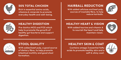 Infographic: 6 benefits of Hilltop Super Premium Adult Cat Food (Chicken with Rice)—digestion, stool, hairball, skin, coat & eyes.