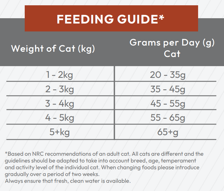 Daily feeding guide for Hilltop Super Premium Adult Cat Food - Chicken with Rice, based on cat weight in kilograms.