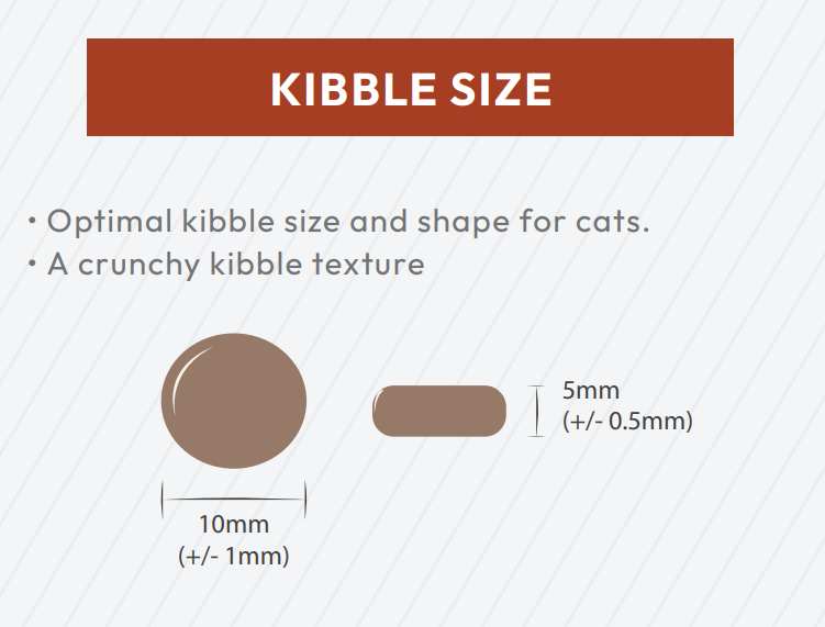 Diagram of Hilltop Super Premium Adult Cat Food - Chicken with Rice: ideal kibble size, shape, and crunchy texture.