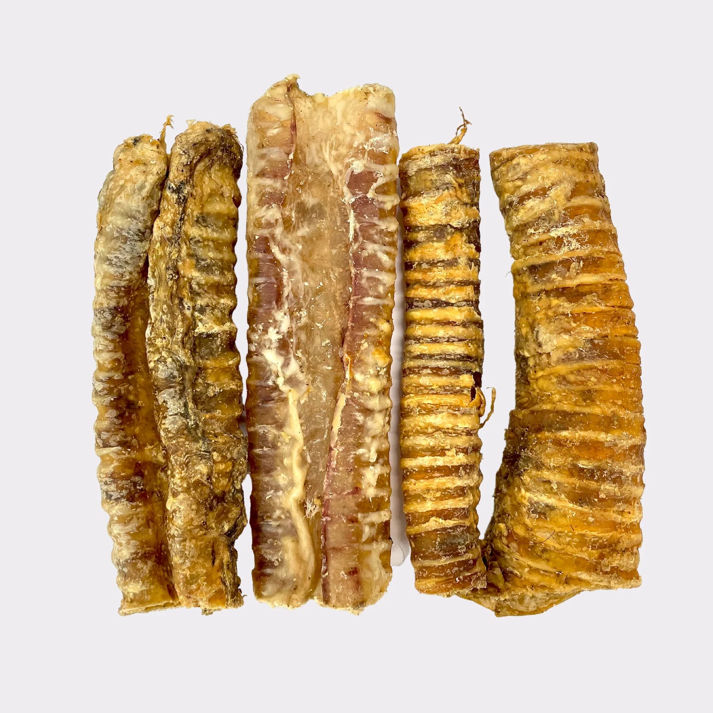 Moo Tubes - Cow Trachea