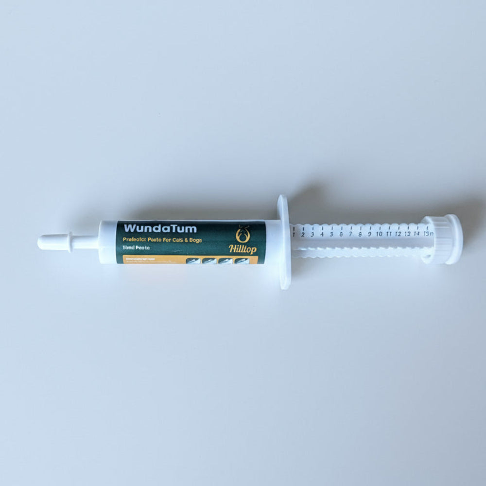 WundaTum Probiotic Digestive Care Paste 15ml on a white background