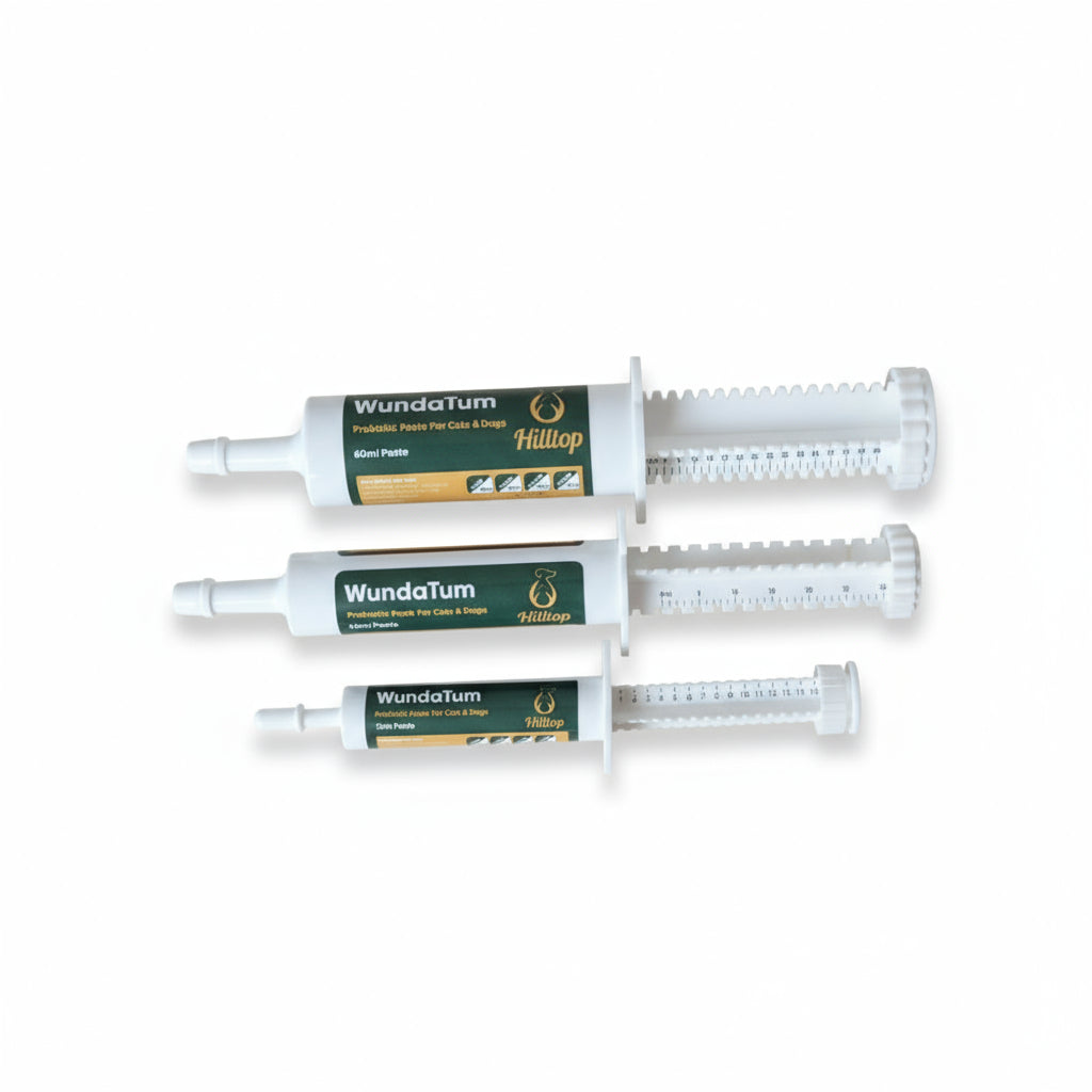 Syringes of WundaTum Digestive Care Probiotic Rapid Paste in three sizes 15ml, 30ml and 60ml arrnaged side by side on a pale background