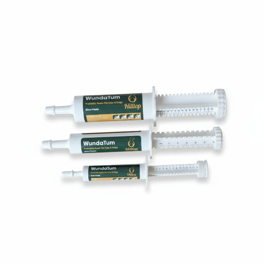 Syringes of WundaTum Digestive Care Probiotic Rapid Paste in three sizes 15ml, 30ml and 60ml arrnaged side by side on a pale background