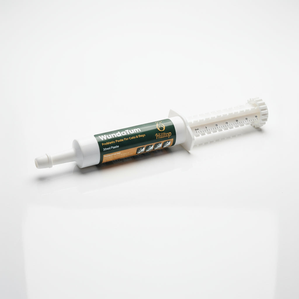 WundaTum probiotic paste tube for cats and dogs on a white surface