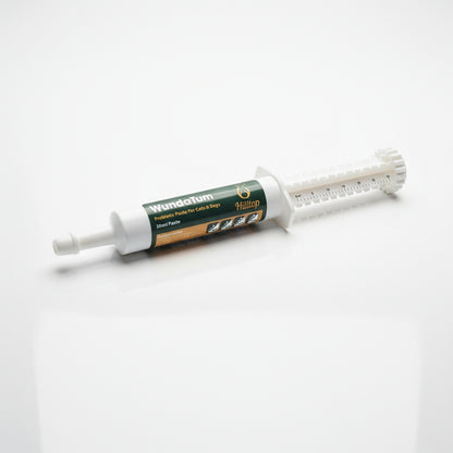 WundaTum probiotic paste tube for cats and dogs on a white surface