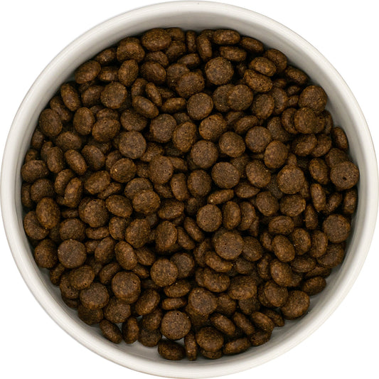 White bowl filled with brown grain free cat food on a white background