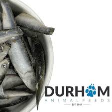 Durham (DAF): Frozen Sprats (1kg)