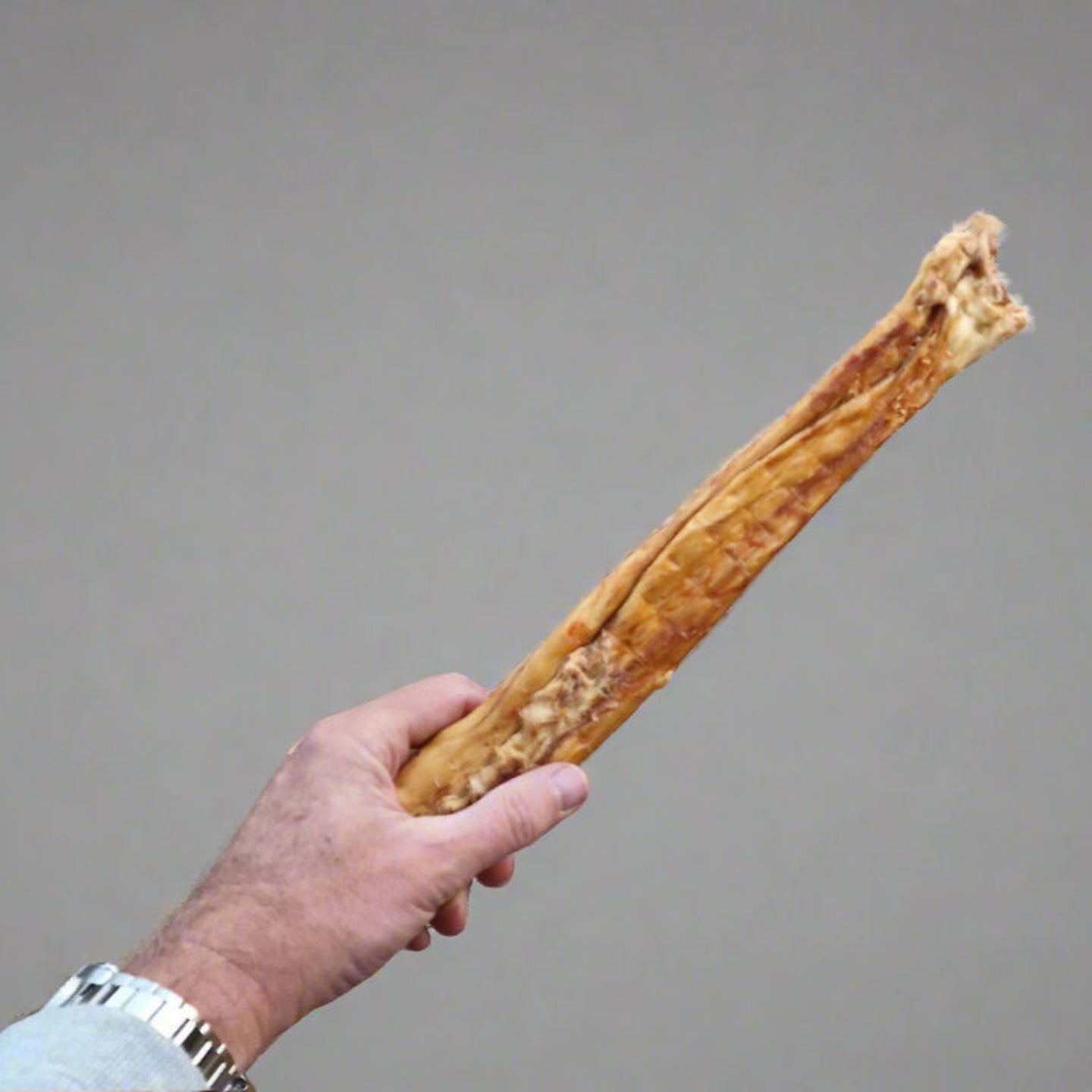 Hand holding a rolled rabbit pelt 40cm on a grey background
