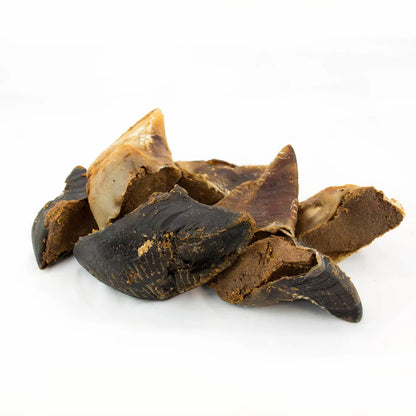Cow Hoof (Hooves)
