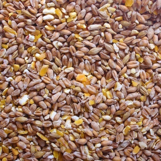 Poultry Mixed Corn 20kg
