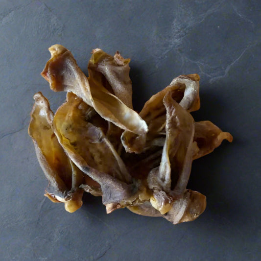 Hairless Lamb Ears